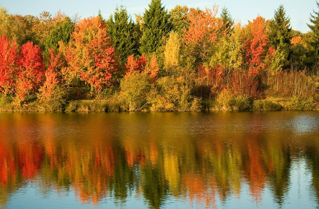 Summer turns to Autumn